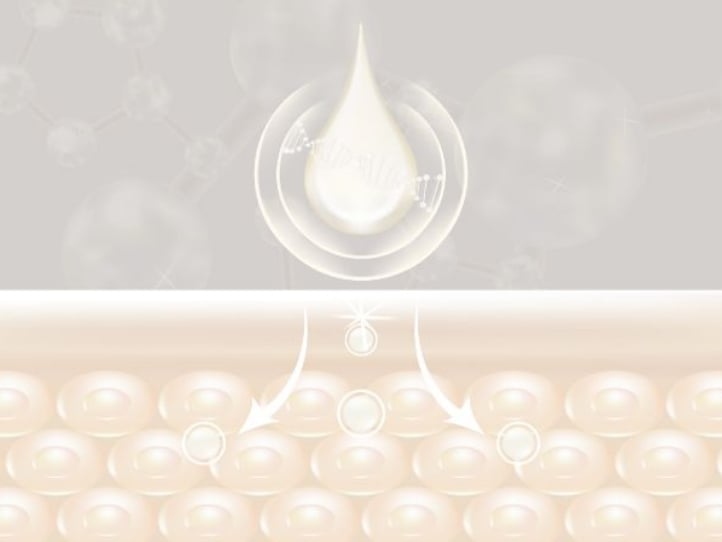 生命力溢れるプラセンタがハリ・ツヤ肌へ。