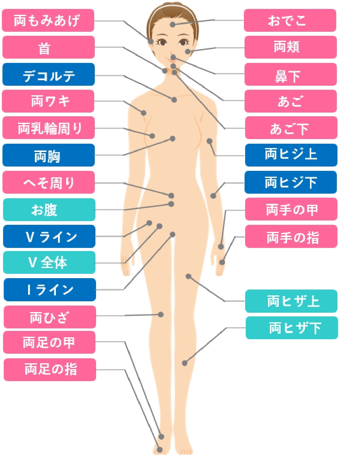 S・M・Lパーツ脱毛